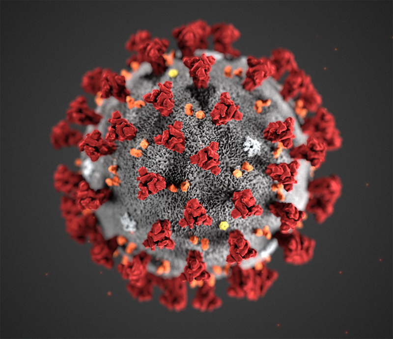 Forstørret bilde av koronaviruset