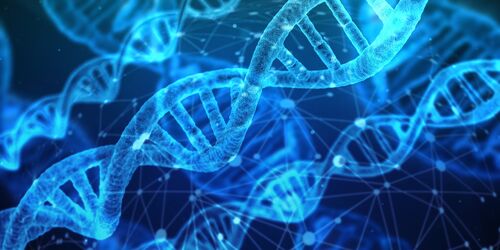 Illustrasjonsbilde Tråder med DNA-materiale