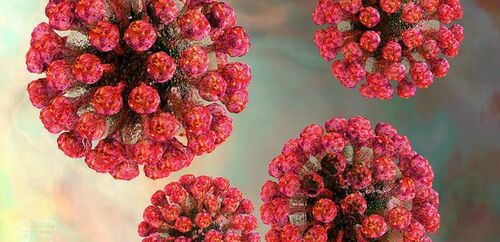 Mikroskopbilde av rubellavirus formet som røde kuler