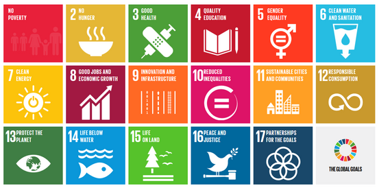 Sustainable-Development-Goals1