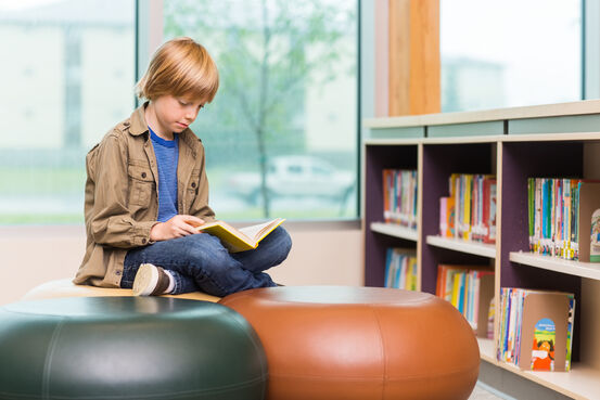 7701585-boy-reading-book-in-library[1]