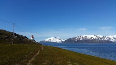 Vorterøy