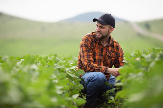 40682403-farmer-agronomist-on-a-growing-green-soybean-field