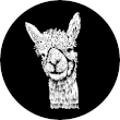 Alpacas_of_fredly_Logo_2020