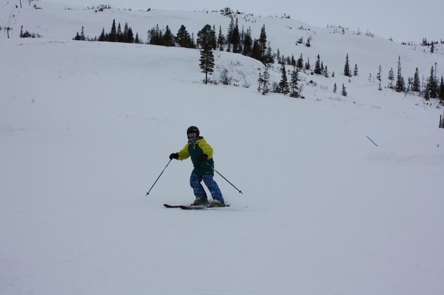 Alpindag