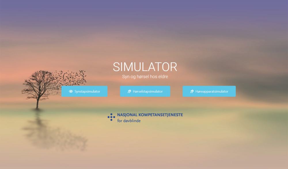 Skjermfoto av en simulator-side, enkelt landskap i bakgrunnen med tittel, tre trykkbare bokser og logo i forgrunnen.