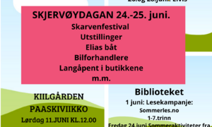 Skjervøy i juni (1)