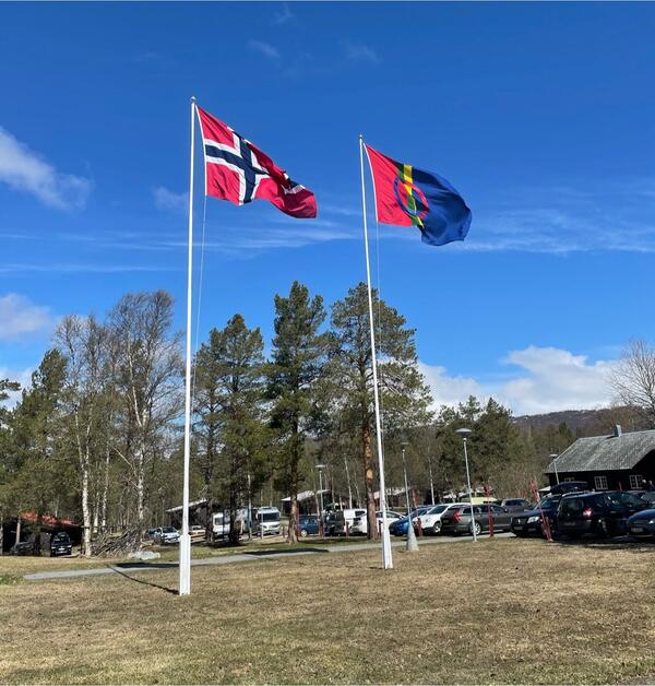 Høgtun flagg