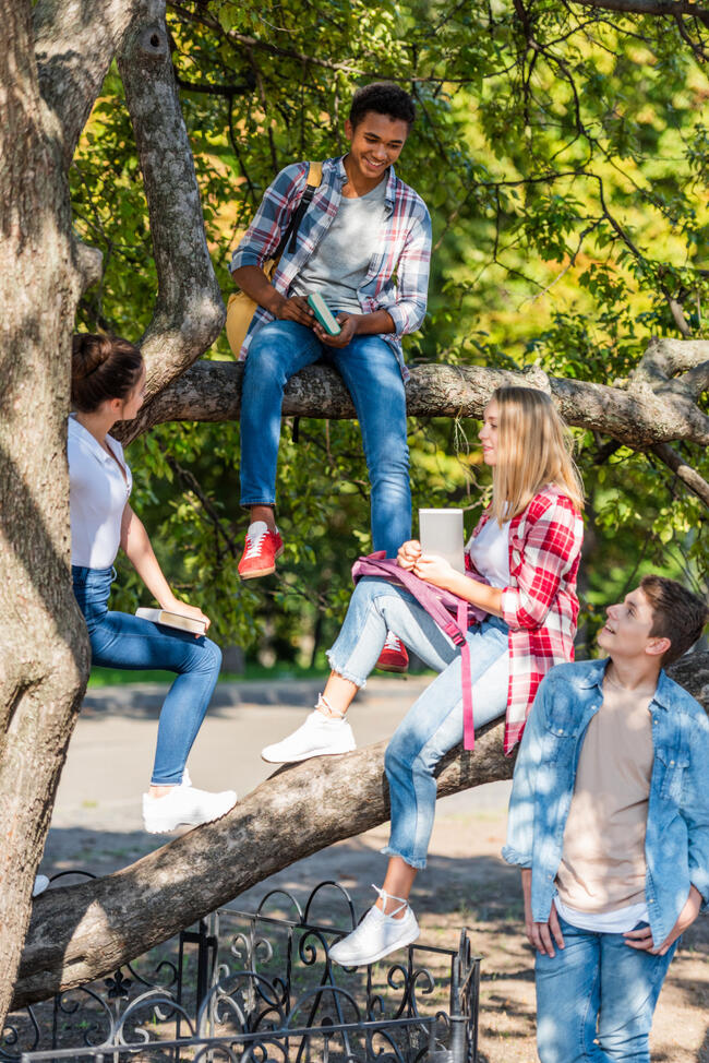 27929209-group-of-happy-teenagers-sitting-on-tree-in-park[1]