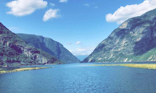 Ut fjorden