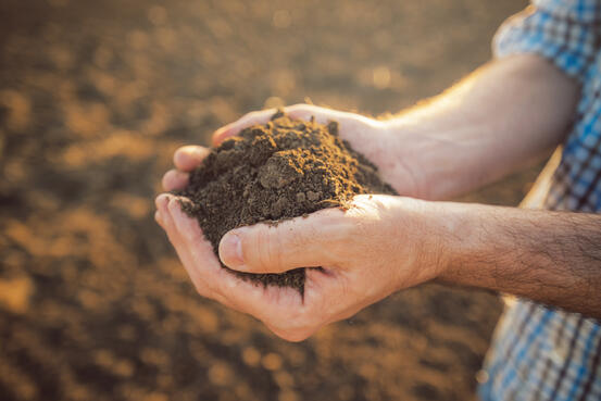 15503258-farmer-holding-pile-of-arable-soil-in-hands