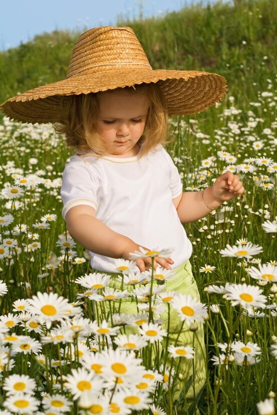 397233-little-girl-on-the-daisy-field
