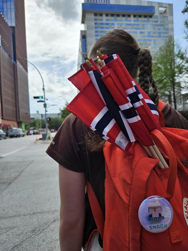 Illustrasjonsfoto norske flagg