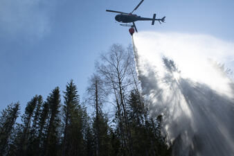 Helikopter slipper vann ned på trær i en skog.