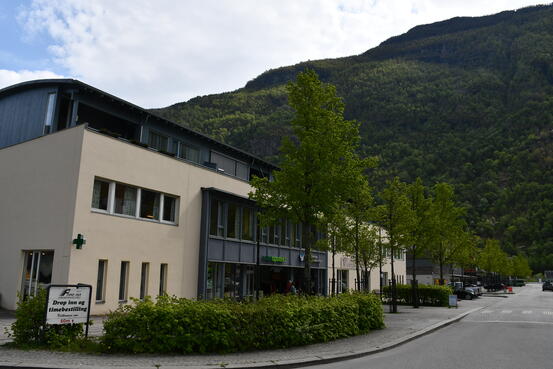 Elisebygget med Lærdal helsesenter