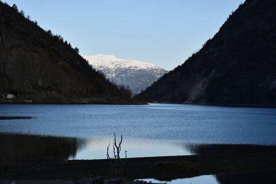 Lærdalsfjorden