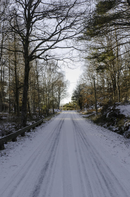 19195295-one-road-in-sweden-with-snow