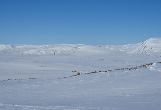 Aurlandsfjellet. Foto: Rolf Engløkk