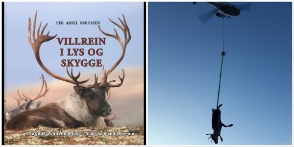 Omslaget på boka og bilete av villrein skoten i Nordfjella som vart floge ut med helikopter