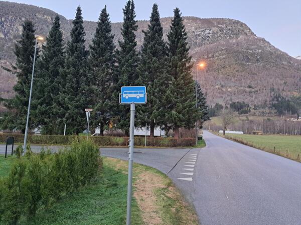 Det offisielle namnet på denne haldeplassen har vore "Sviggum Vest", Språkrådet føresler å endra det til "Sviggum". Dermed føresler dei også å endra namnet på haldeplassen ved rv 5 til "Sjukehusvegen" - denne haldepl