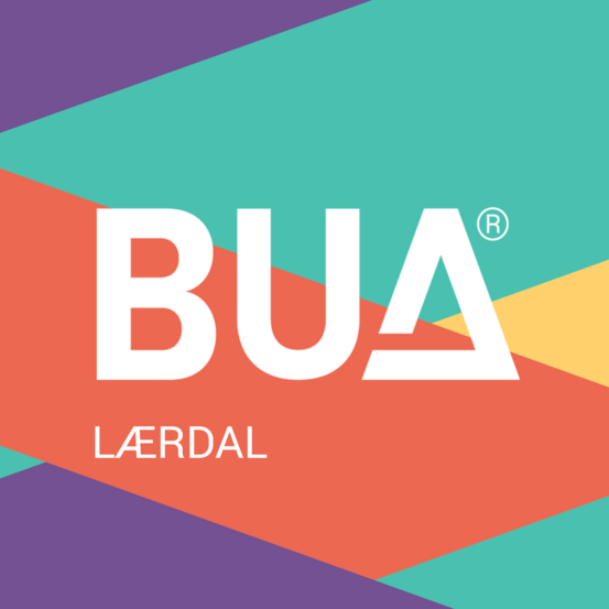 logo BUA