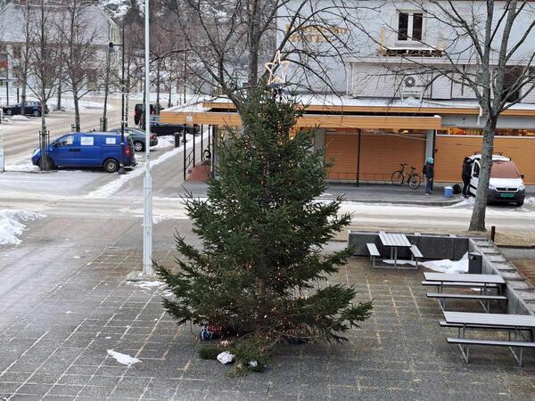 Juletreet som har stått på rådhusplassen denne jula vart levert av Lars Andreas Sæbø.