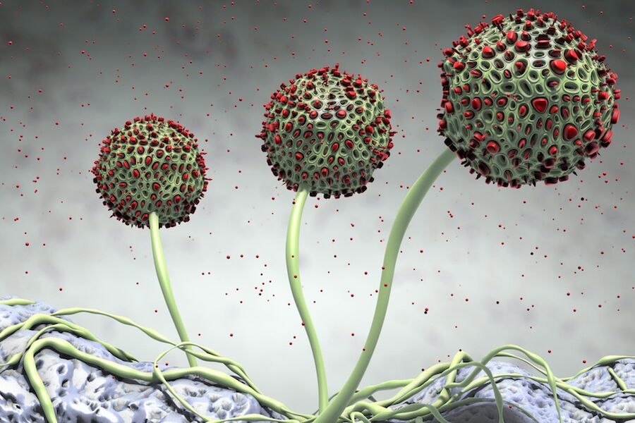 Illustrasjonsbilde: mugg-scaled (Interfil)