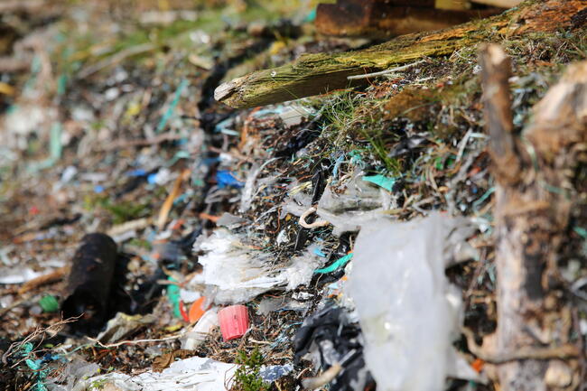 Forsøpling av plast er eit stort problem i fjordane. Foto: Stiftinga Framtidshavet