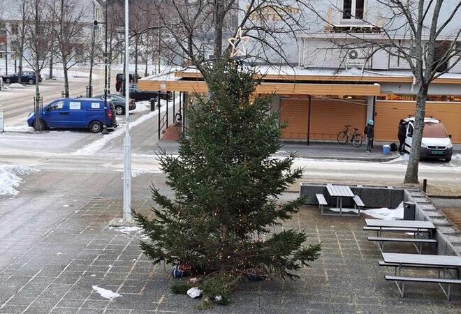 Lærdal kommune fekk eit flott juletre i fjor, og håpar å få eit flott tre i år også.