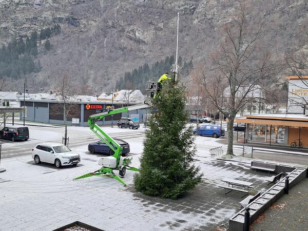 Julegrana på rådhusplassen kom opp tysdag