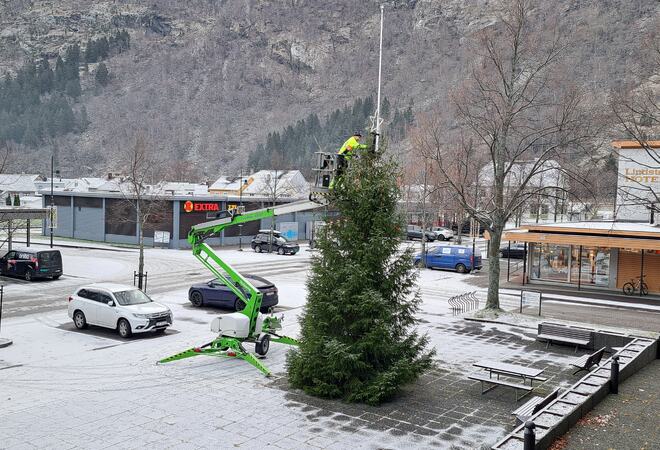 Julegrana på rådhusplassen kom opp tysdag