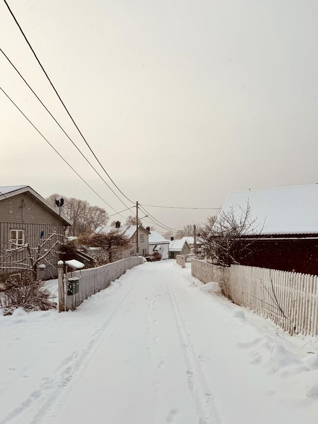 Vinter i Folkestadbyen