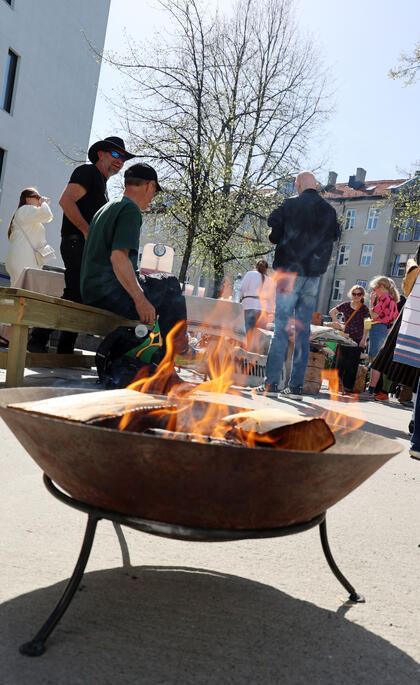 skogfinne uteaktivitet (c) knut utler  (19)