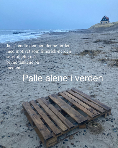 Palle alene i verden 2_400x500.jpeg