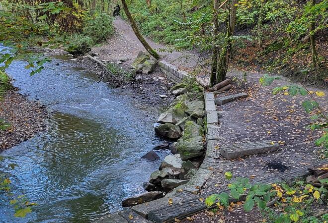 Illustrasjonsfoto av natur