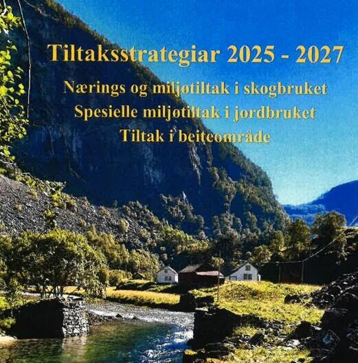 Tiltaksstrategiar 2025-2027