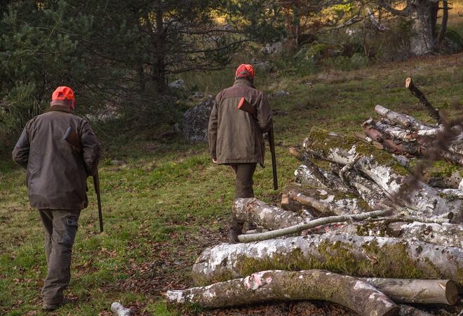 Bilde som viser to jegere med våpen på vei mot skogen. Foto: jacqueline macou fra Pixabay