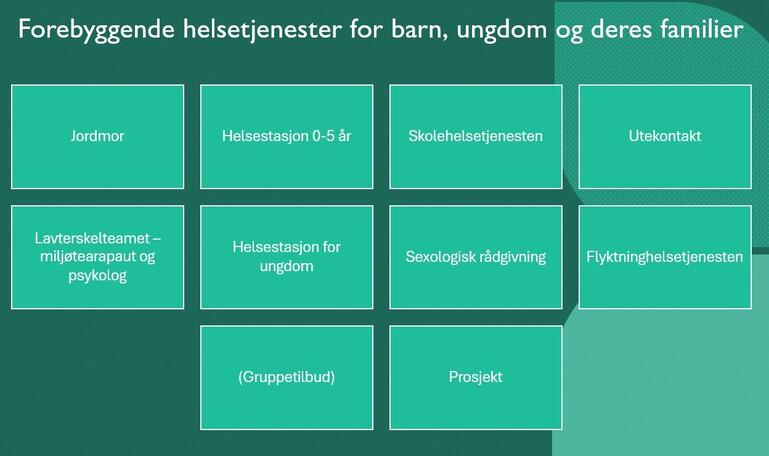 Forebyggendehelsetjenester