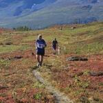 image0000071[1]
