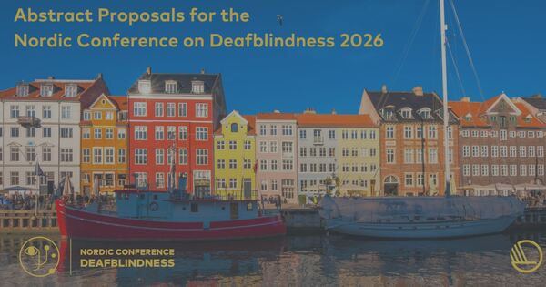 Fargerike bygninger med båter på vann i forkant av bildet