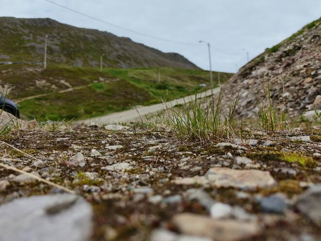 DJI_20250710112712_0014_D