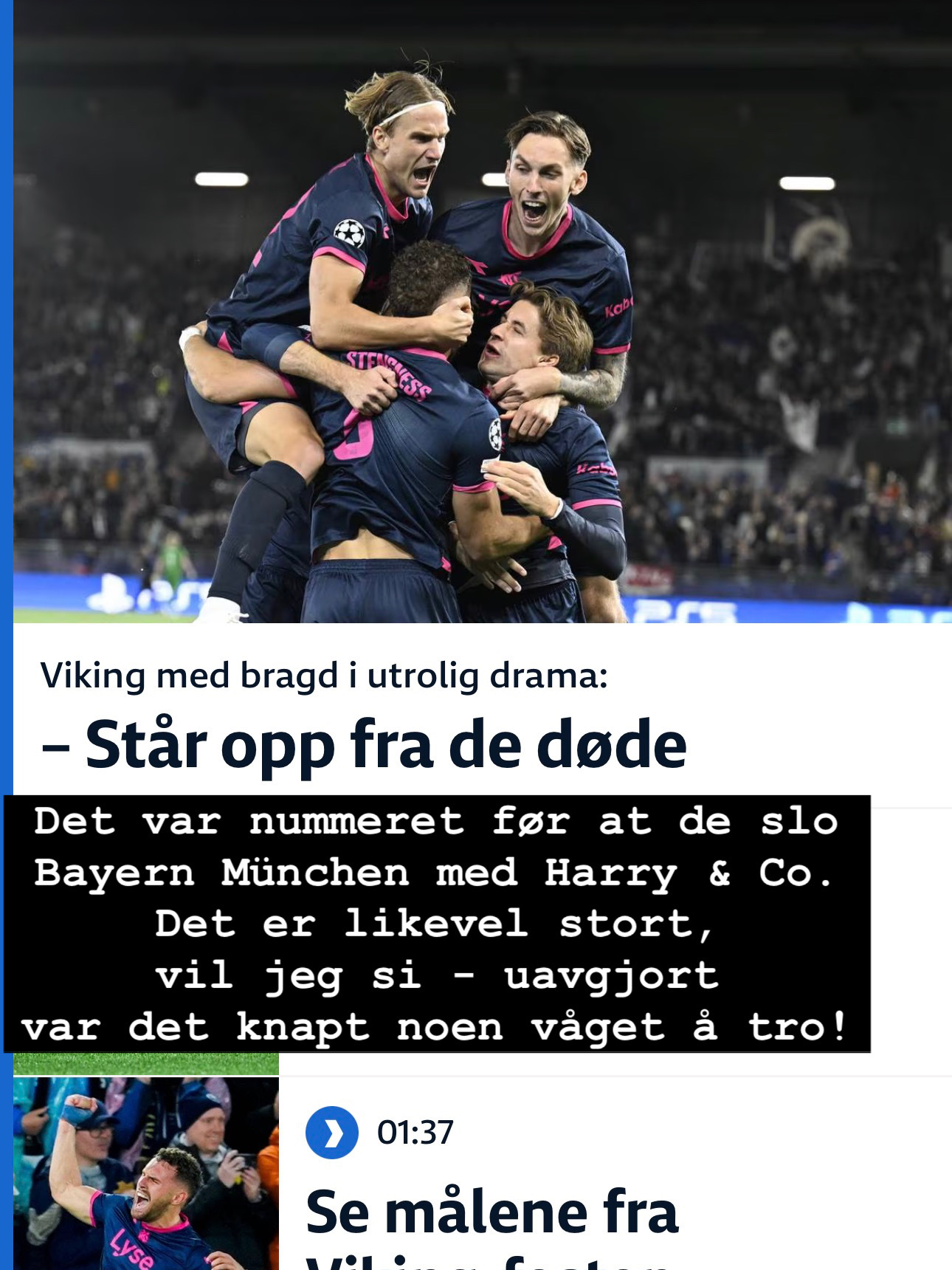 Viking Bayern.jpeg