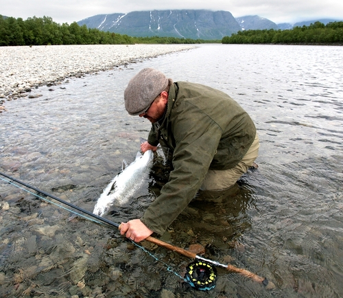 Gjenutsetting av laks Rune Sundelin