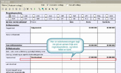 20090710_feil_regnskapsregisteret5